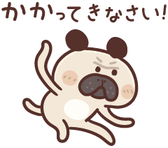 かかってきなさない